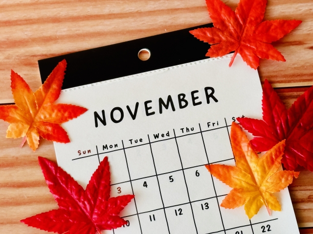 11月の診療日程のお知らせ