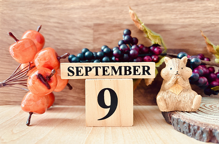 9月の休診日のお知らせ